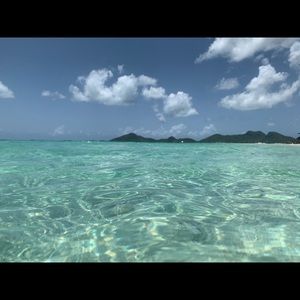 Meet your Posher, Chandler